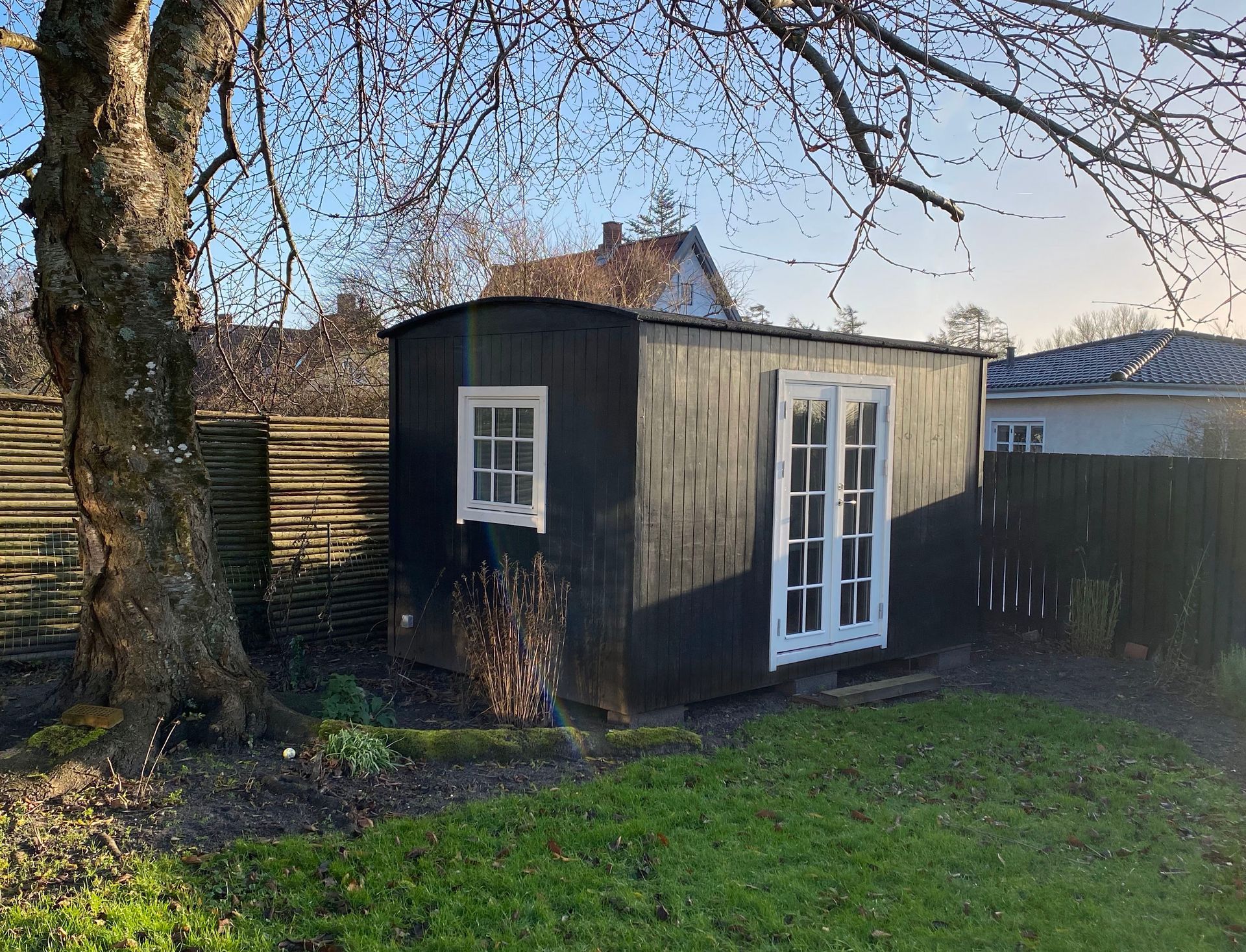 Et sort skur med hvide vinduer er i en baghave ved siden af ​​et træ.