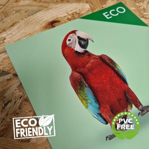 A picture of a parrot that is eco friendly and pvc free