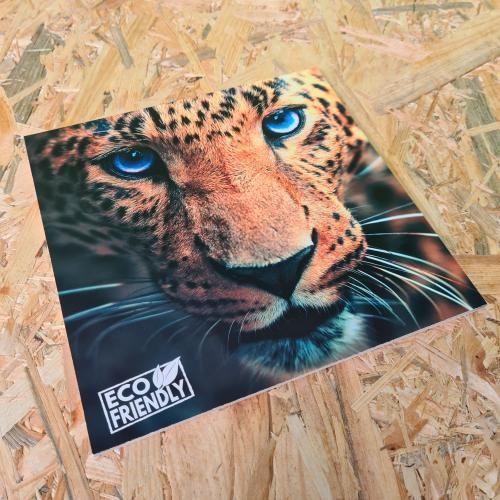 A picture of a leopard with the words eco friendly on it