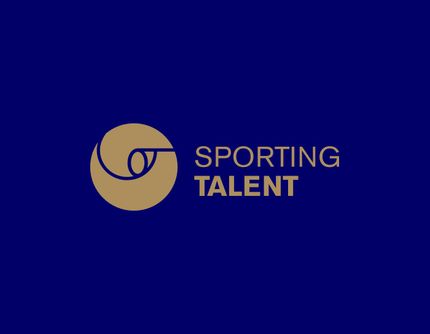 The logo for berkhamsted chauffeurs is on a dark green background.