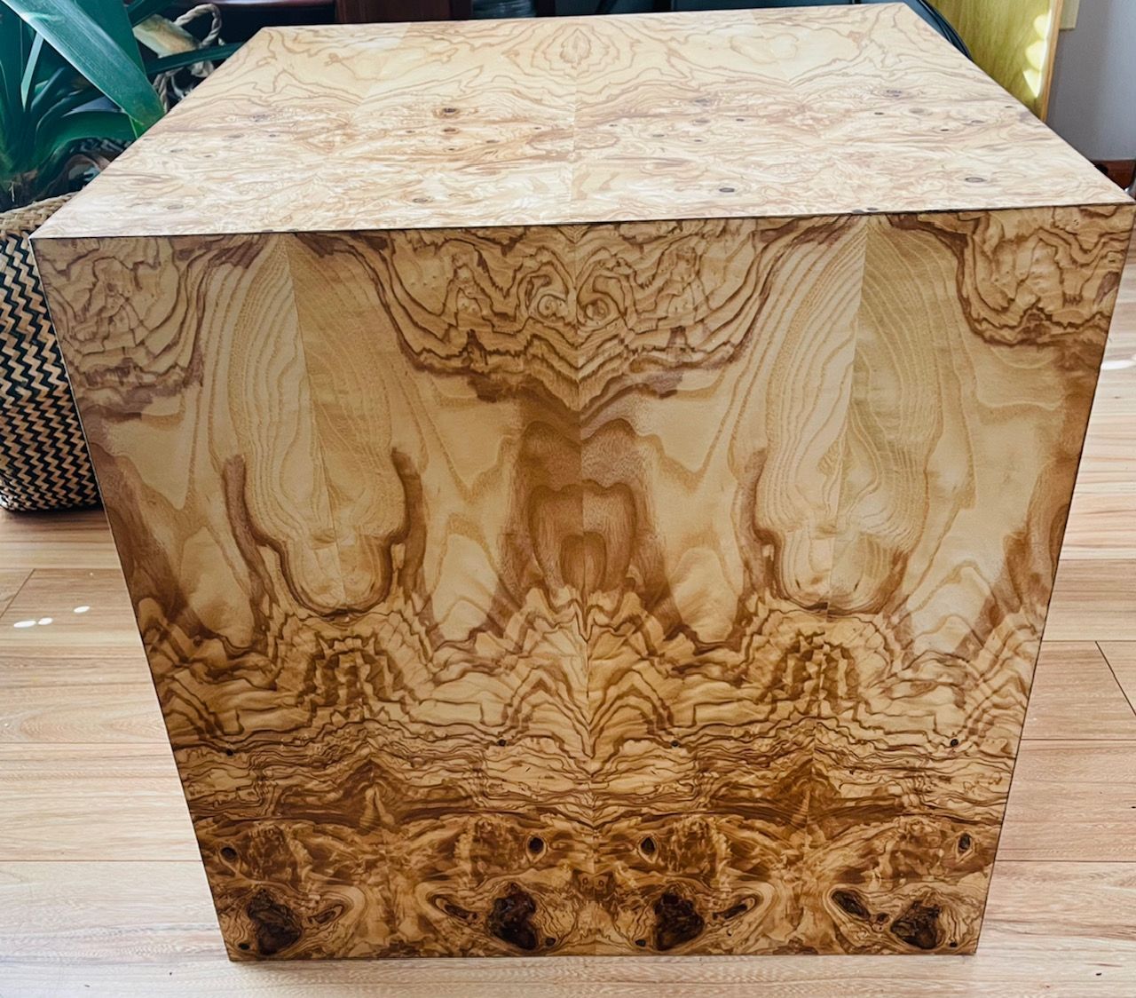 Teak Root Coffee Table | ethenial.com