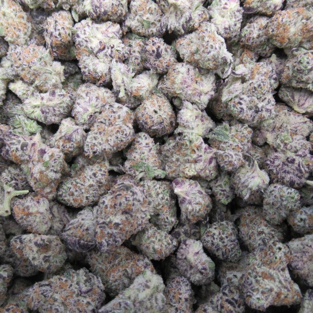 Pile of cannabis buds, showing purplish hues, orange hairs, and white trichomes.