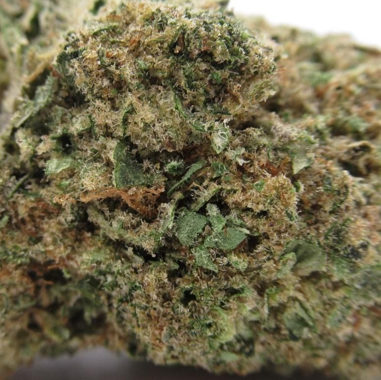 Close-up of cannabis bud, showing green, brown, and tan colors with visible trichomes.