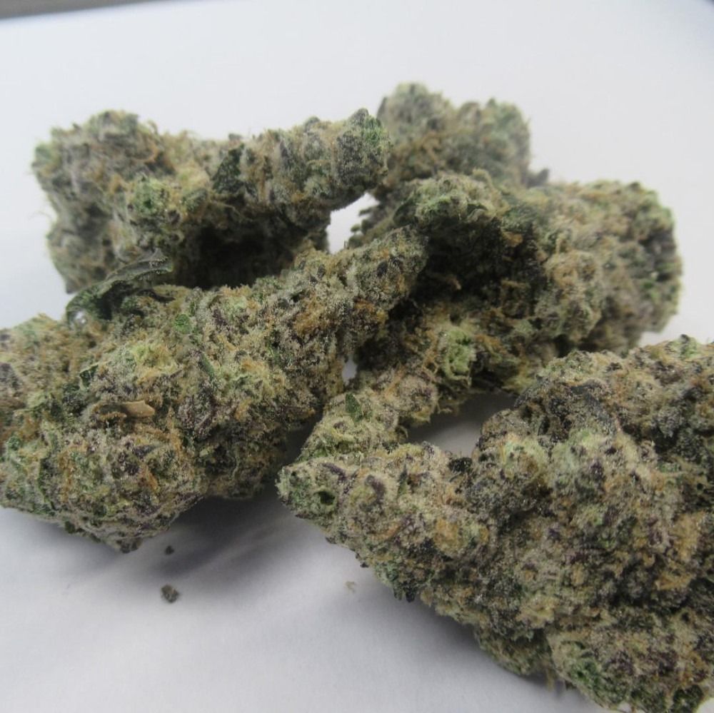 Close-up of cannabis buds; green, purple, and tan with many trichomes, on a white surface.