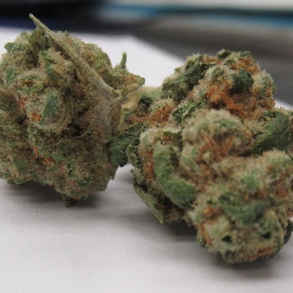 Two cannabis buds with green and orange hues.