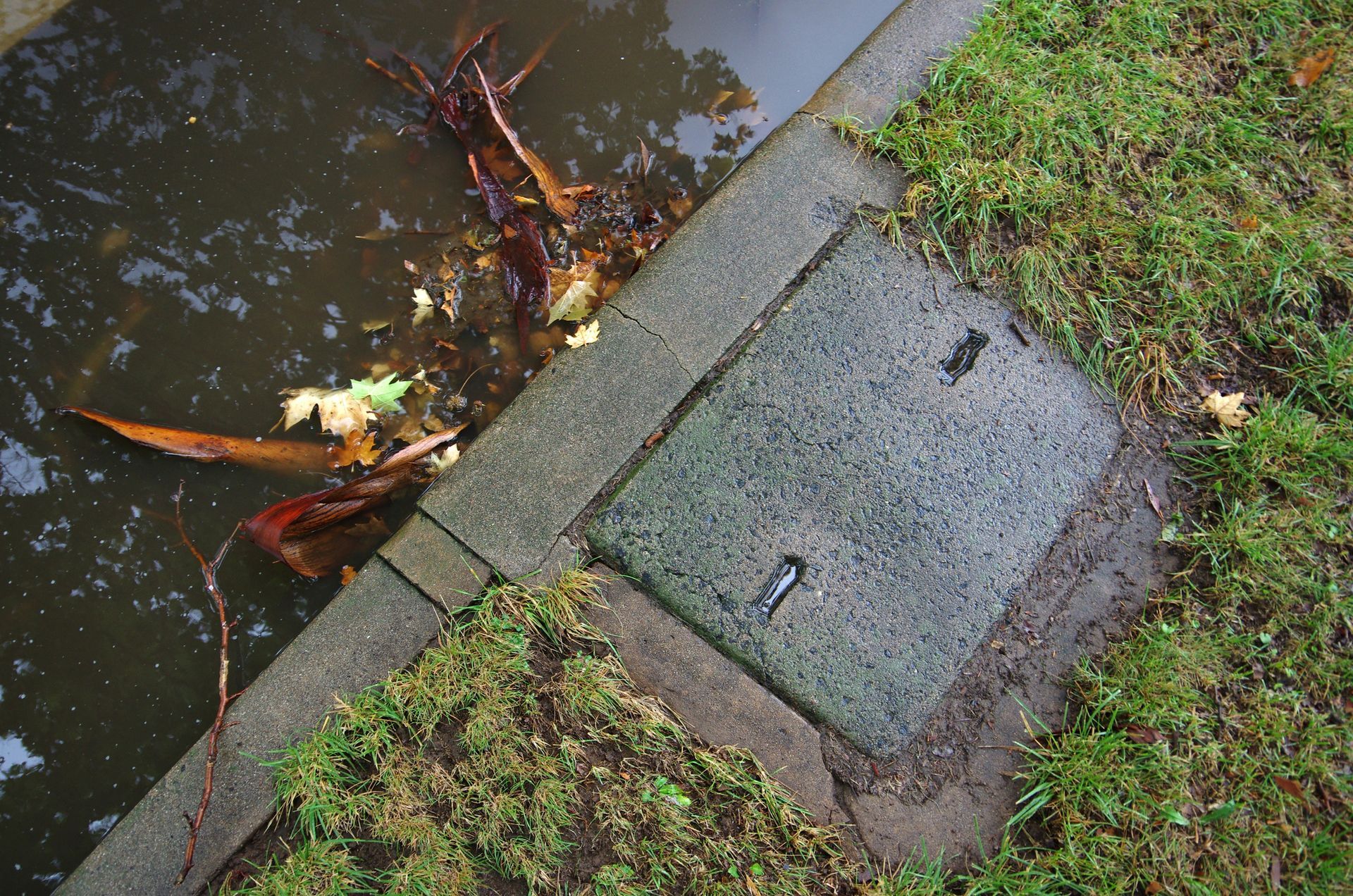 A Manhole Cover Sits Next to A Puddle of Water | Neenah, WI | Ogden Plumbing