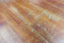 Floor Stain — Damaged Seasoned Wooden Floor in Butler, PA