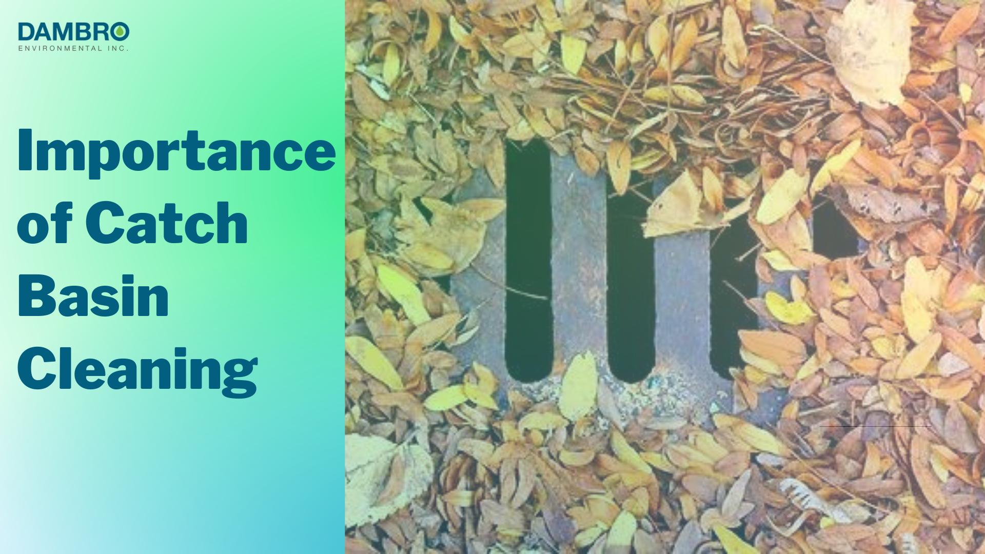 Catch Basin cleaning in Hamilton