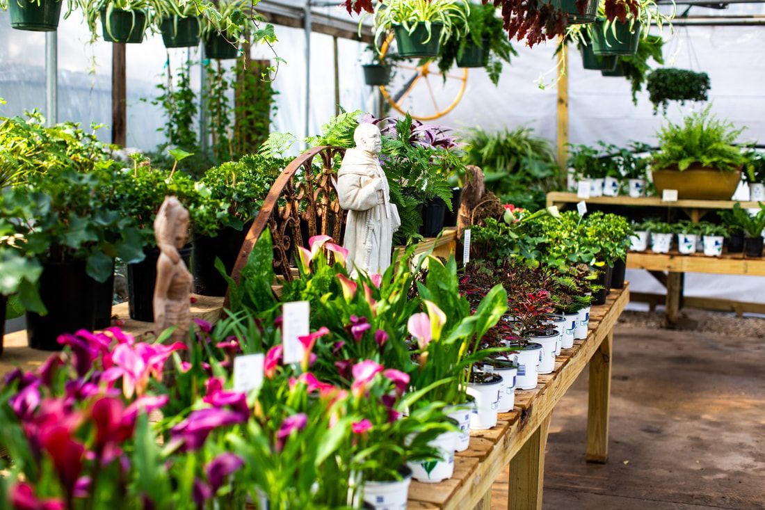 A greenhouse filled with lots of potted plants and flowers.