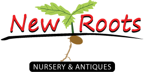 A logo for new roots nursery and antiques