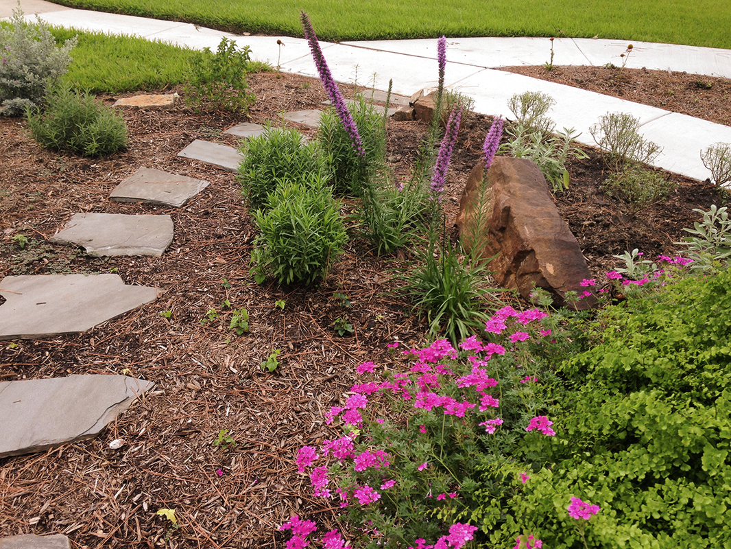 A garden with purple flowers and a stone walkway.