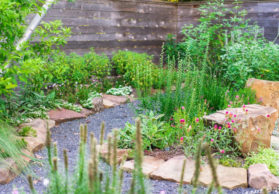 A garden filled with lots of plants and rocks.