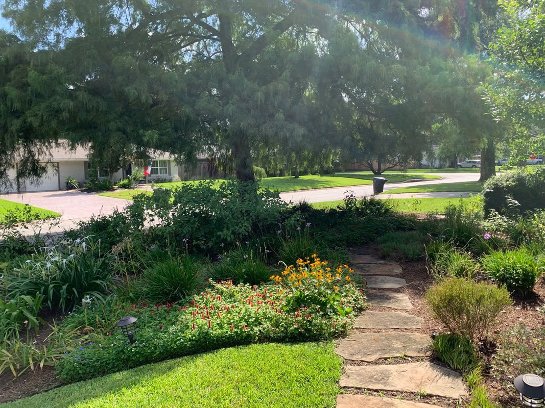 There are two wooden planters in the backyard with a tree in the middle.