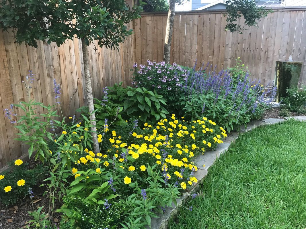 A garden filled with lots of plants and rocks.