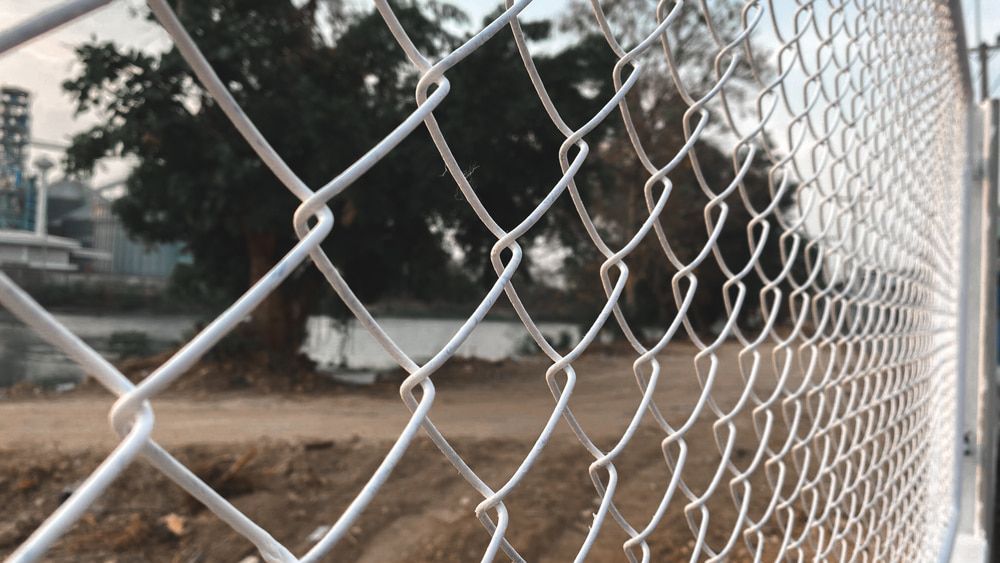 A Close up Of a Chain Link Fence with Trees in The Background — Rearden Fencing Pty Ltd in Toronto, NSW