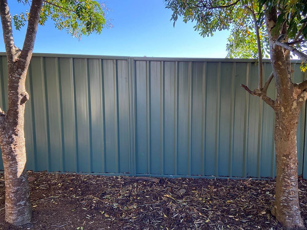 A Green Fence With Two Trees in Front of It — Rearden Fencing Pty Ltd in Toronto, NSW