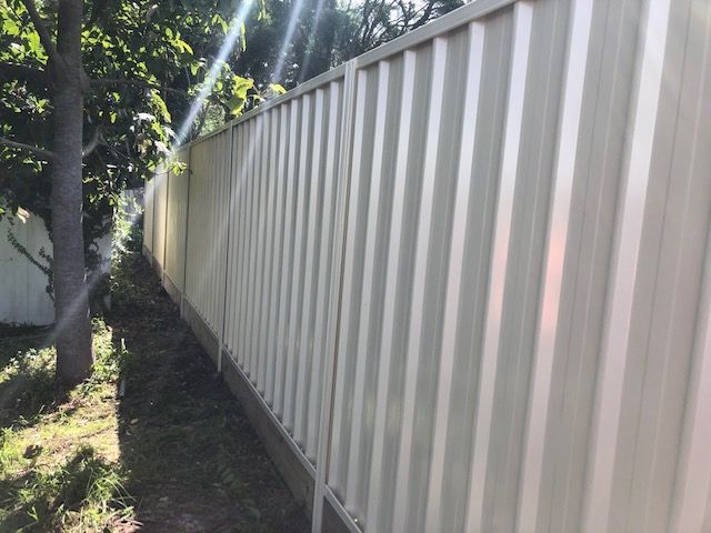 A White Fence is Surrounded by Grass and Trees in a Yard — Rearden Fencing Pty Ltd in Toronto, NSW