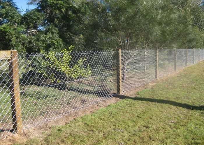 A Chain Link Fence is Surrounded by Grass and Trees — Rearden Fencing Pty Ltd in Toronto, NSW