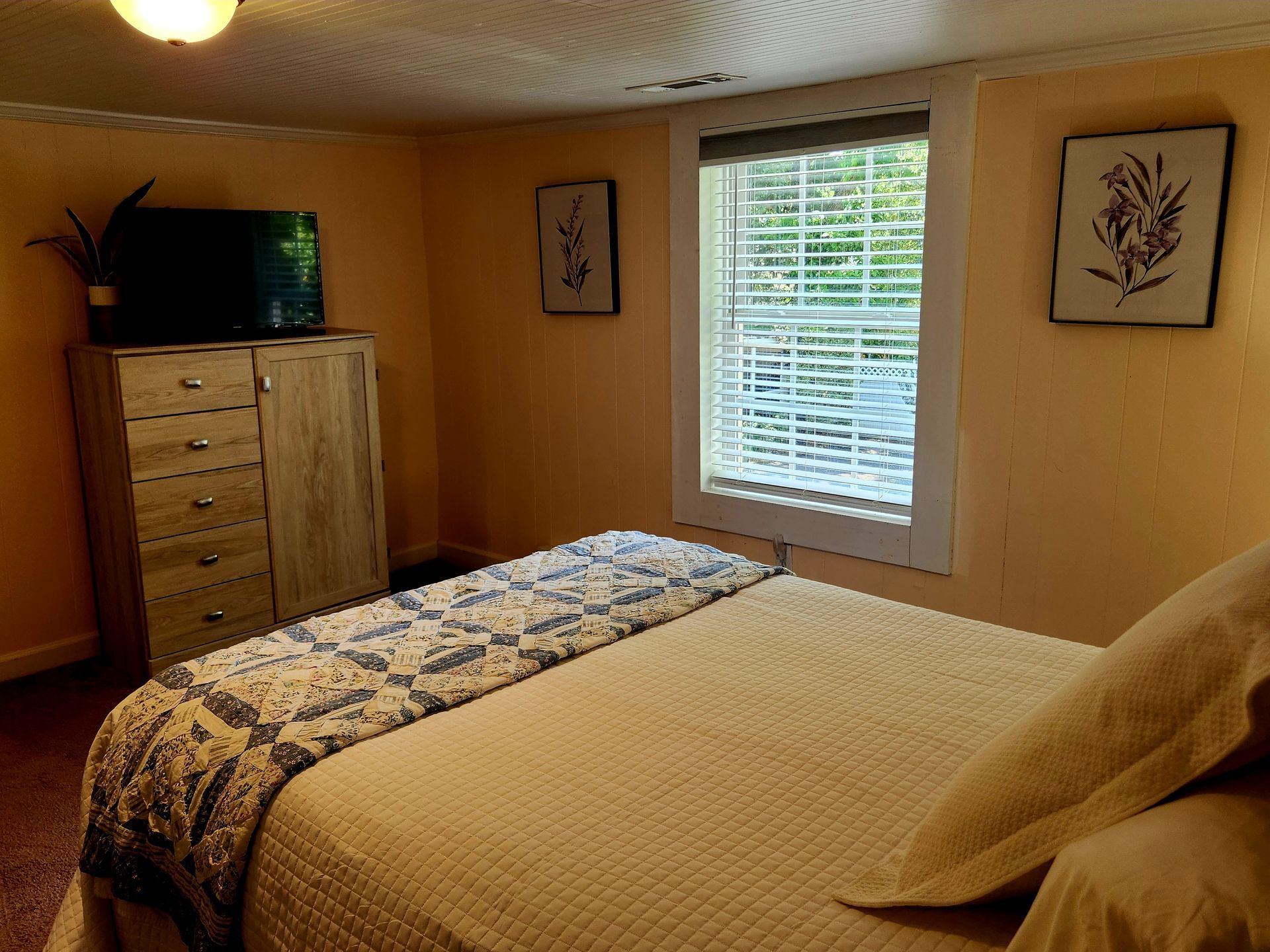 Bedroom with bed, dresser, TV, window, and two framed pictures on peach-colored walls.
