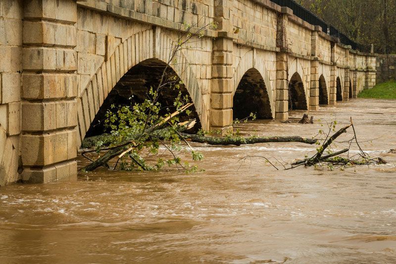 A flooded bridge with a tree fallen into the water.