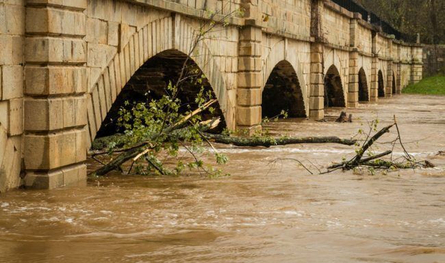 A flooded bridge with a tree fallen on the side of it.