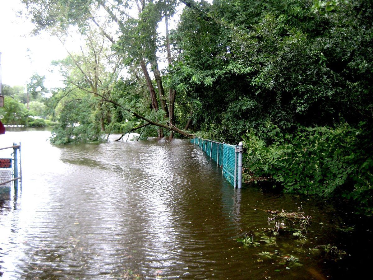 A flooded area with trees and a blue fence