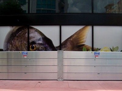 A picture of a fish is behind a metal barrier