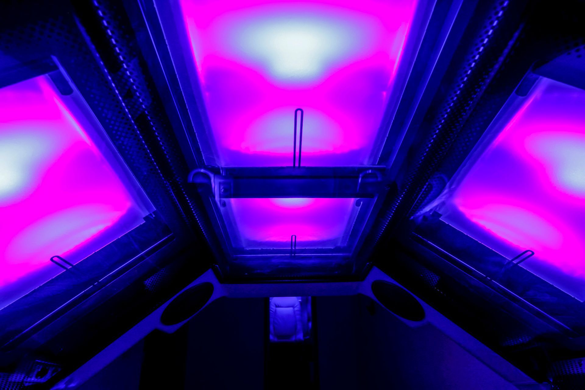 Una mano mostra unghie a mandorla dipinte di rosa, con un'unghia decorata con una stampa leopardata viola e una linea argentata.