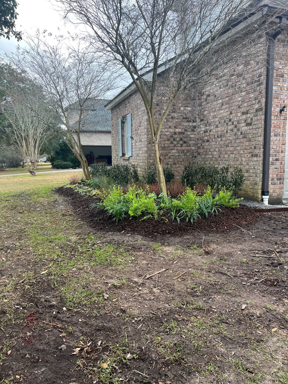 A brick house with a mulch-covered flower bed and small green plants. Bare trees and a lawn are in the foreground.