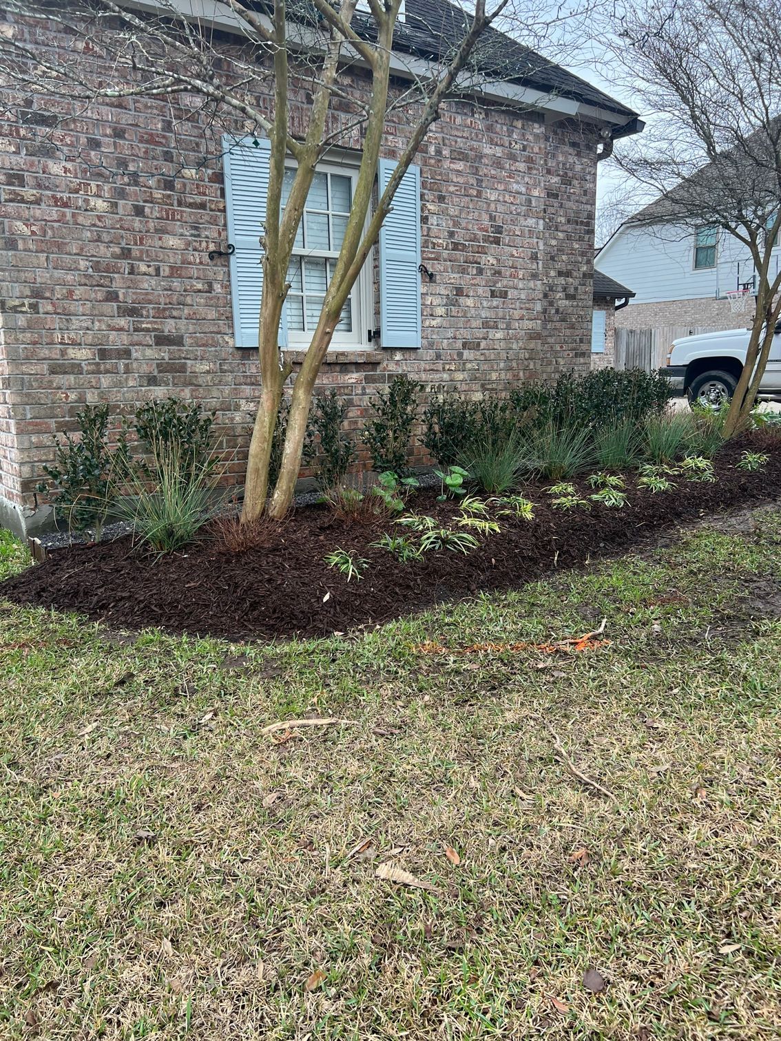 A brick house with blue shutters has a landscaped bed with mulch and plants. A tree trunk is in front.