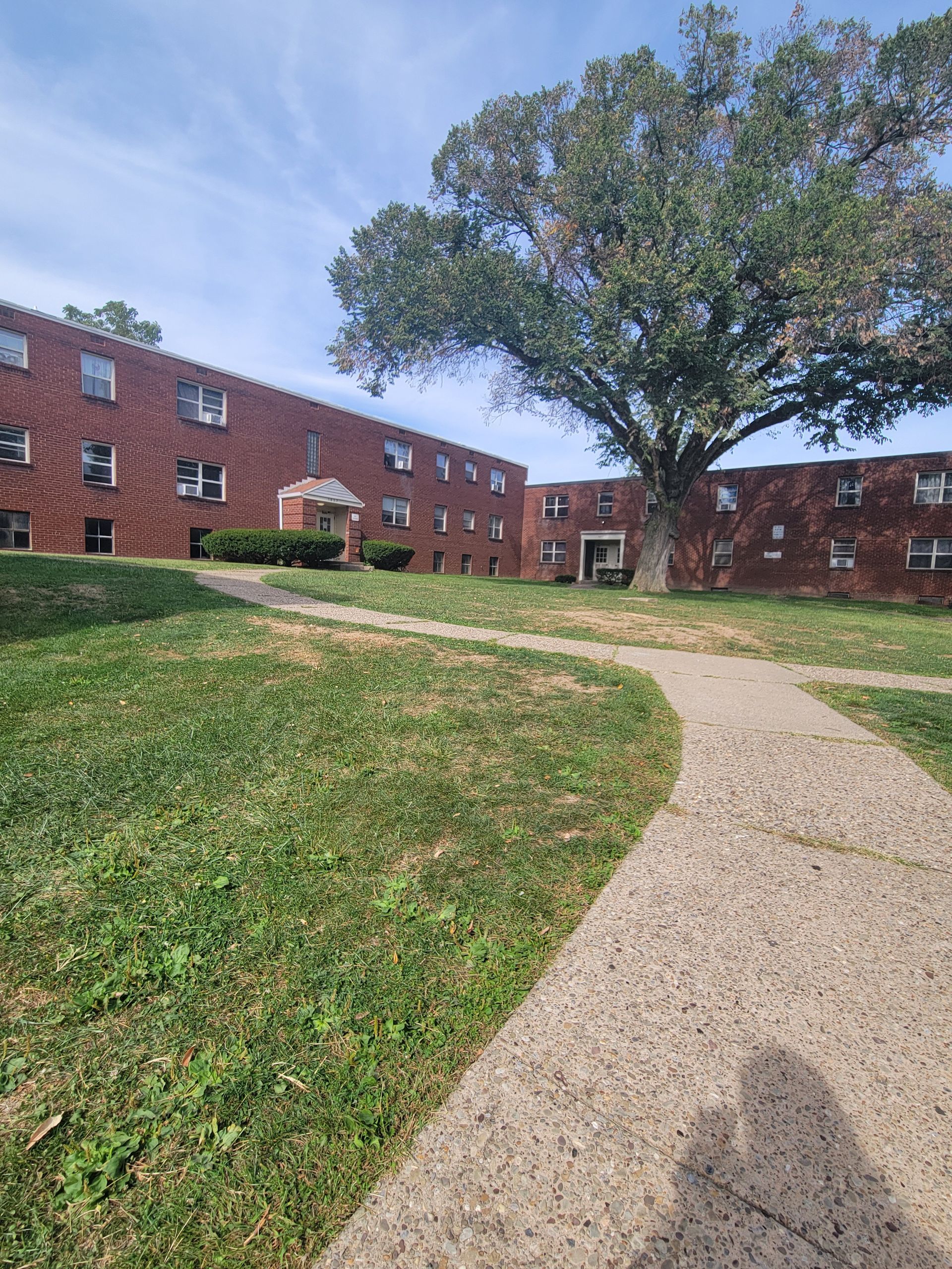 A brick building with a tree in front of it and a path leading to it.