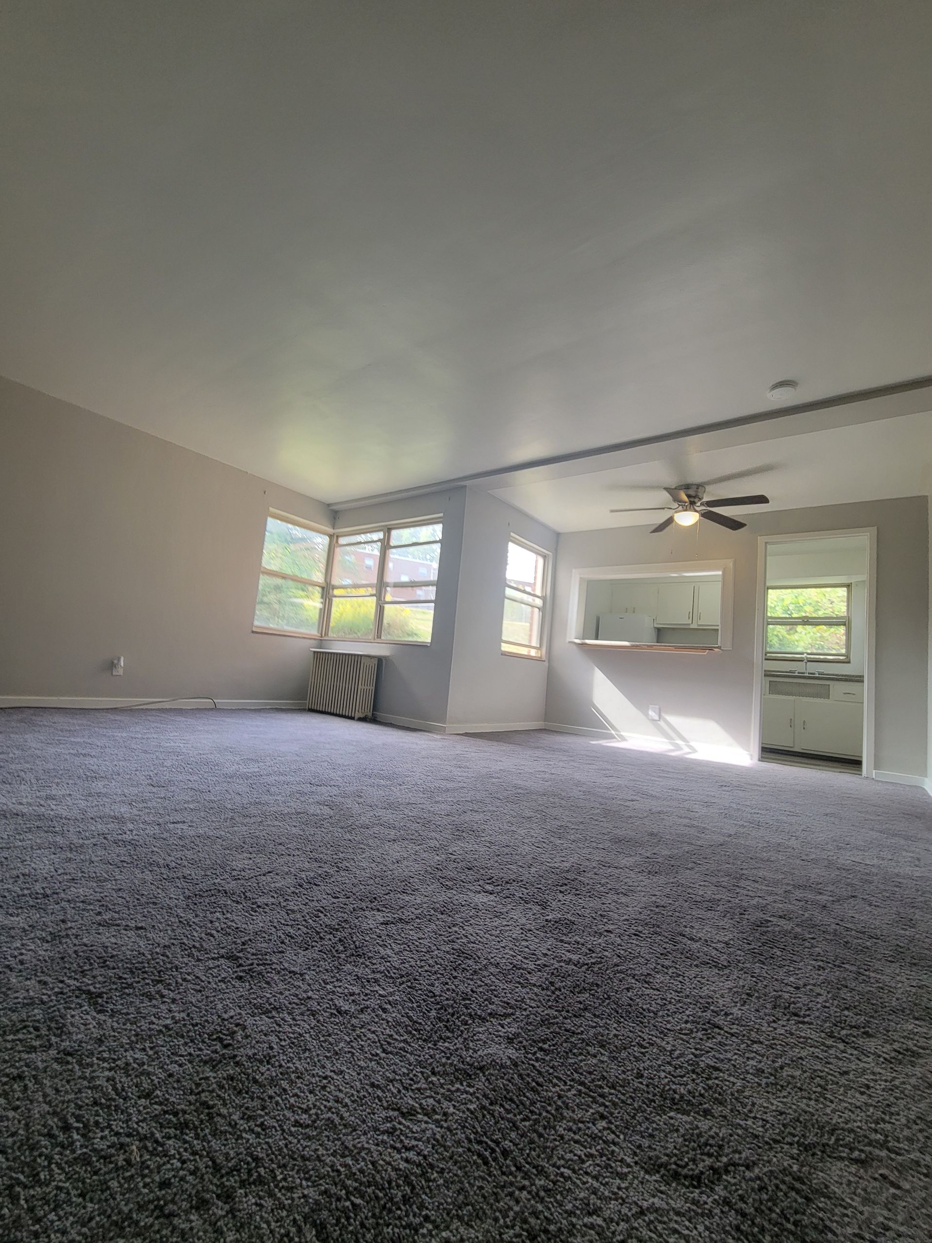A living room with a gray carpet and a ceiling fan.