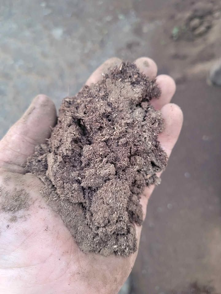 Handful of dark, crumbly soil; light brown and gray textures visible.