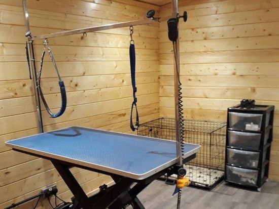 A well-equipped dog grooming studio