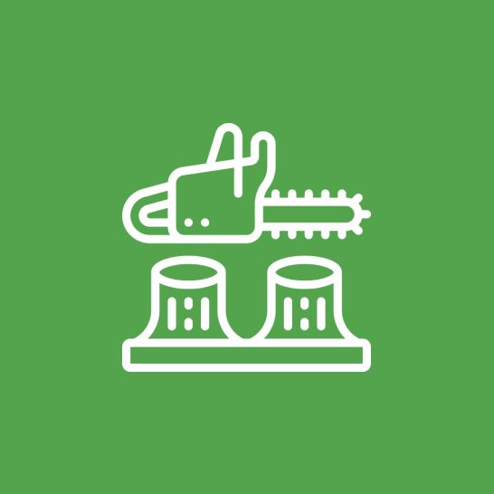 Une icône d'une tronçonneuse et de deux souches d'arbres sur fond vert.