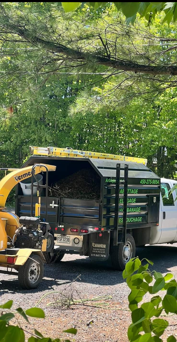 Un camion avec un broyeur attaché est garé à côté d'un arbre.