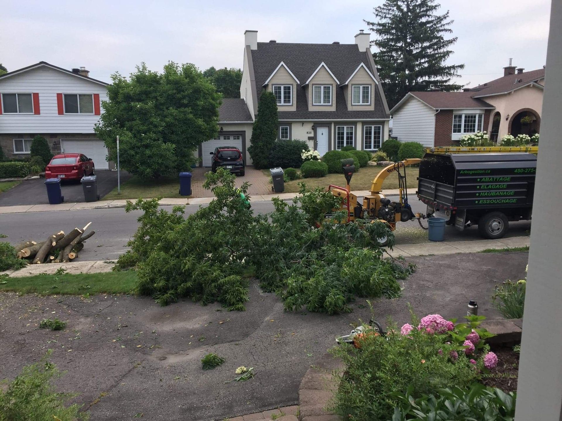 Un arbre est coupé devant une maison