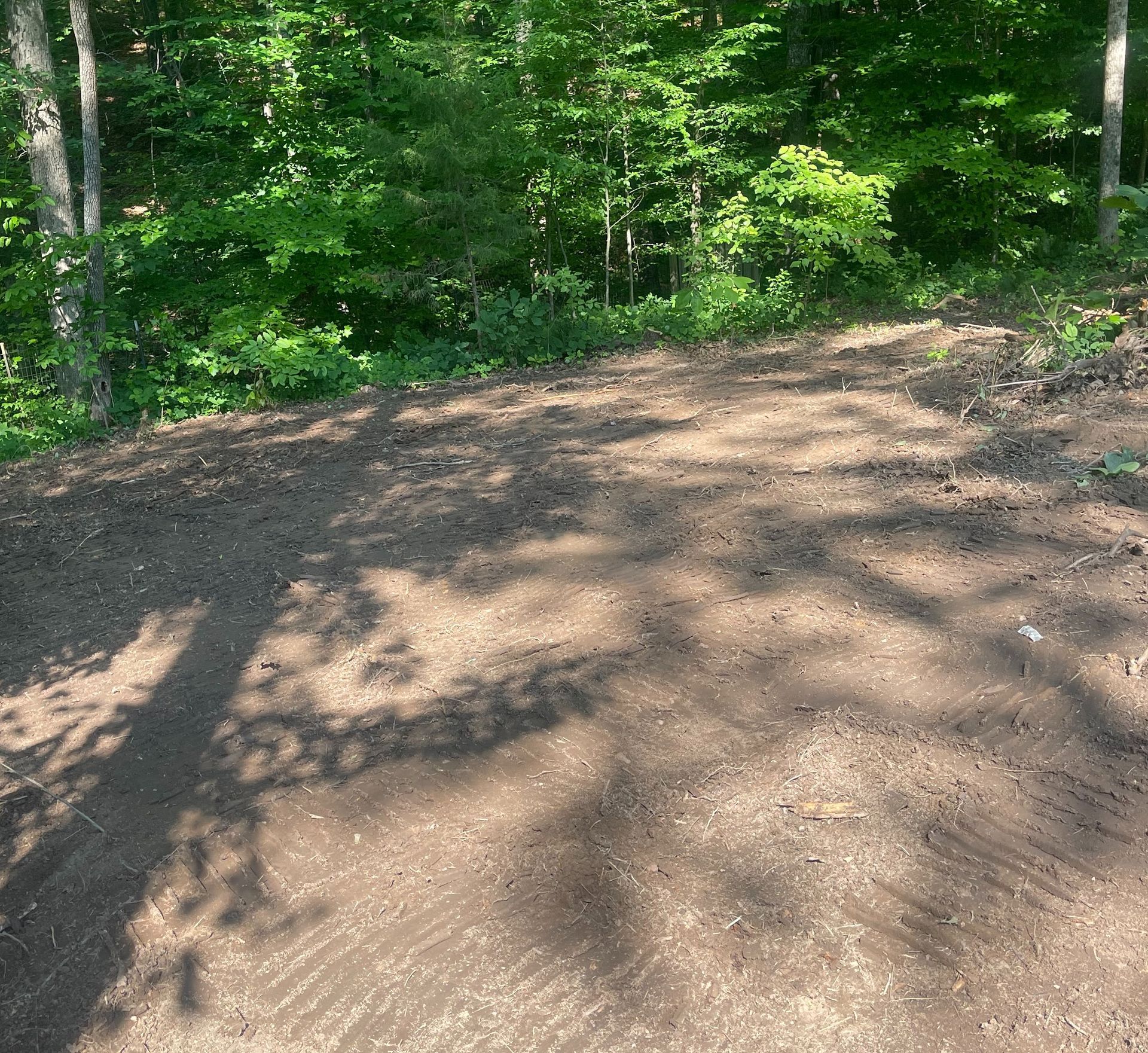 A dirt road in the middle of a forest
