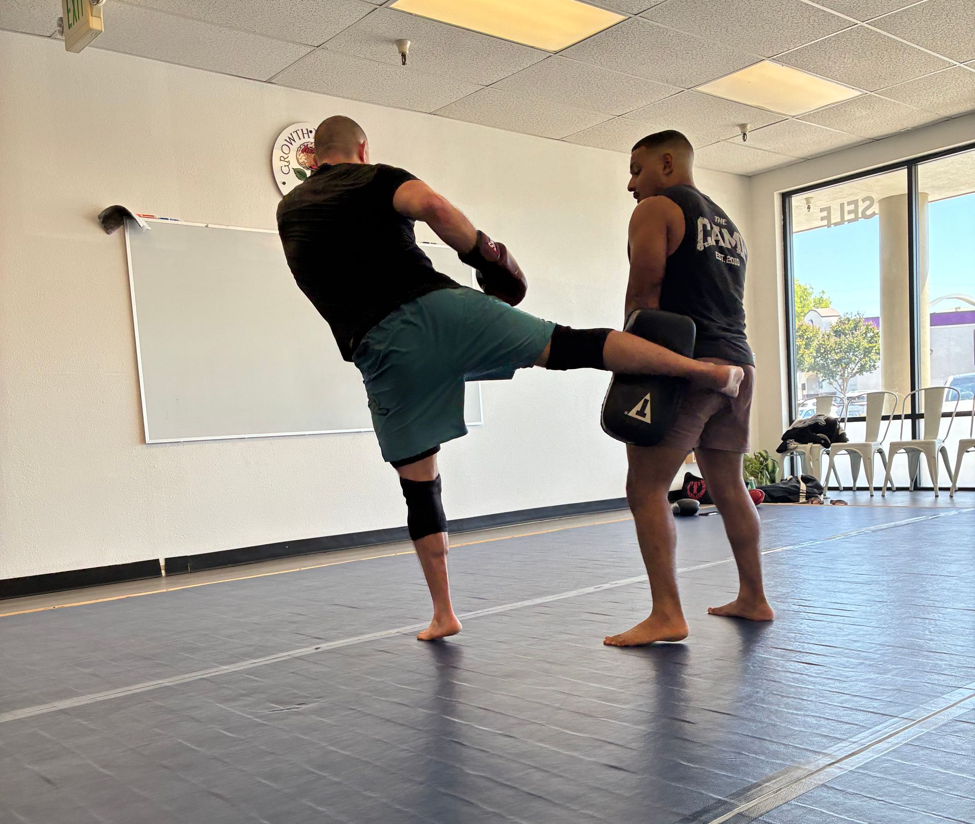 Adult beginner BJJ coaching