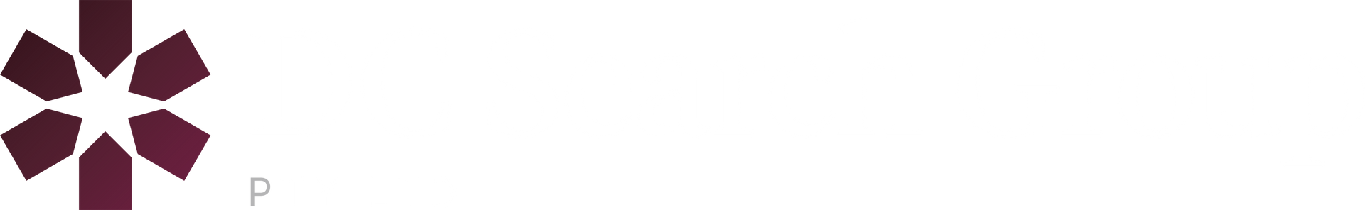 A dark purple logo featuring six abstract, arrow-like shapes pointing toward a central star-shaped negative space.