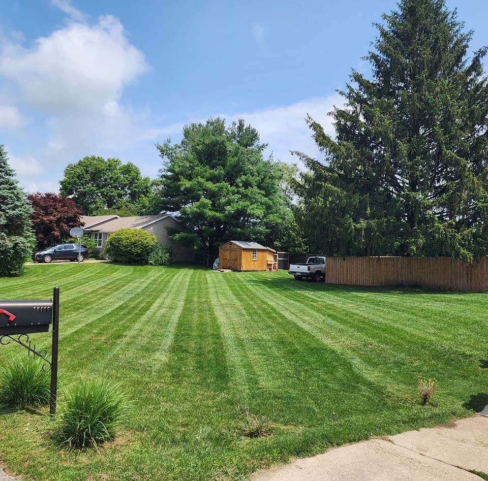 Large striped backyard lawn with trees, a wooden fence, shed, and parked vehicles under a blue sky