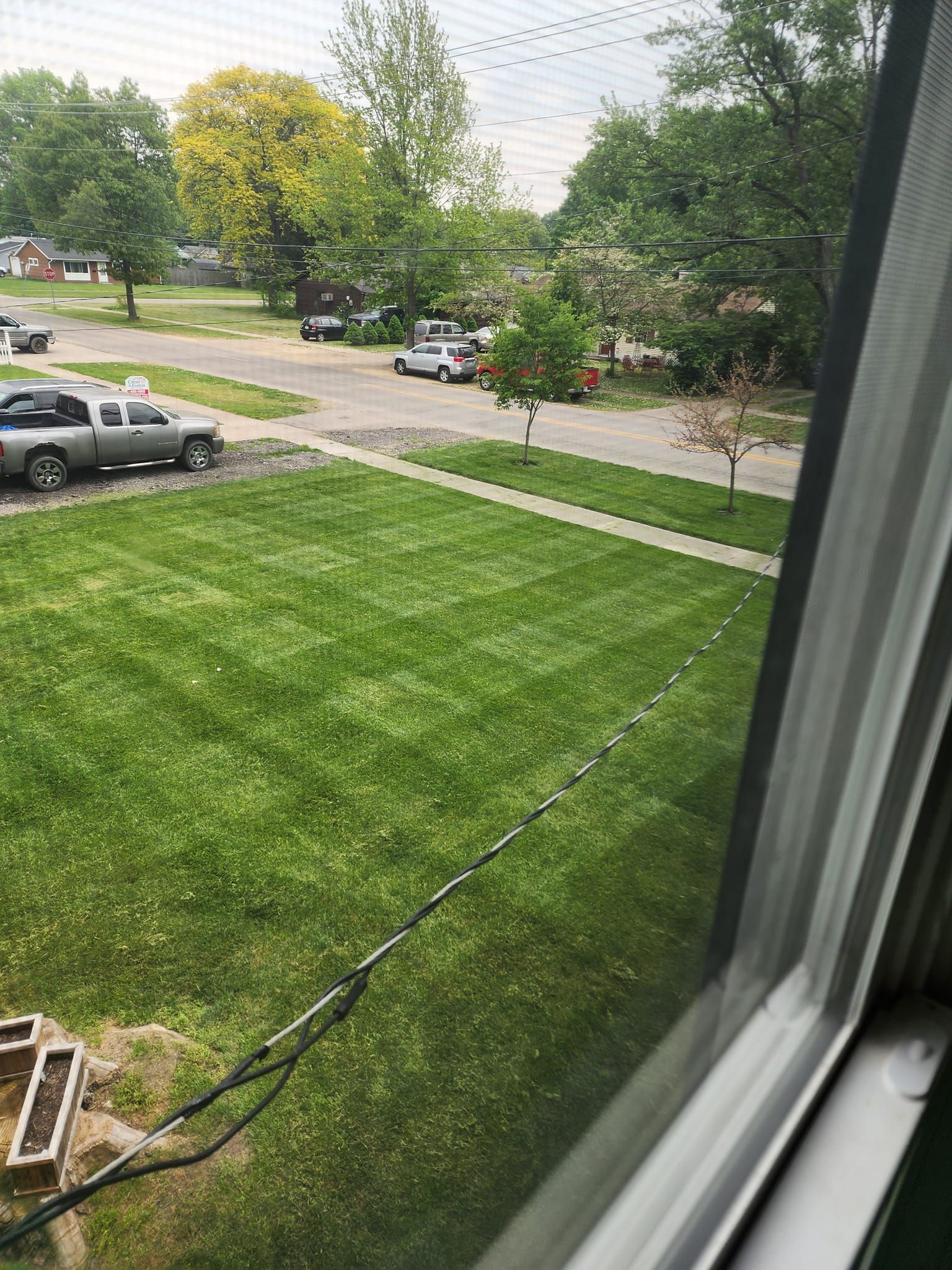 View from a window of a suburban lawn, sidewalk, parked cars, and leafy trees on a cloudy day