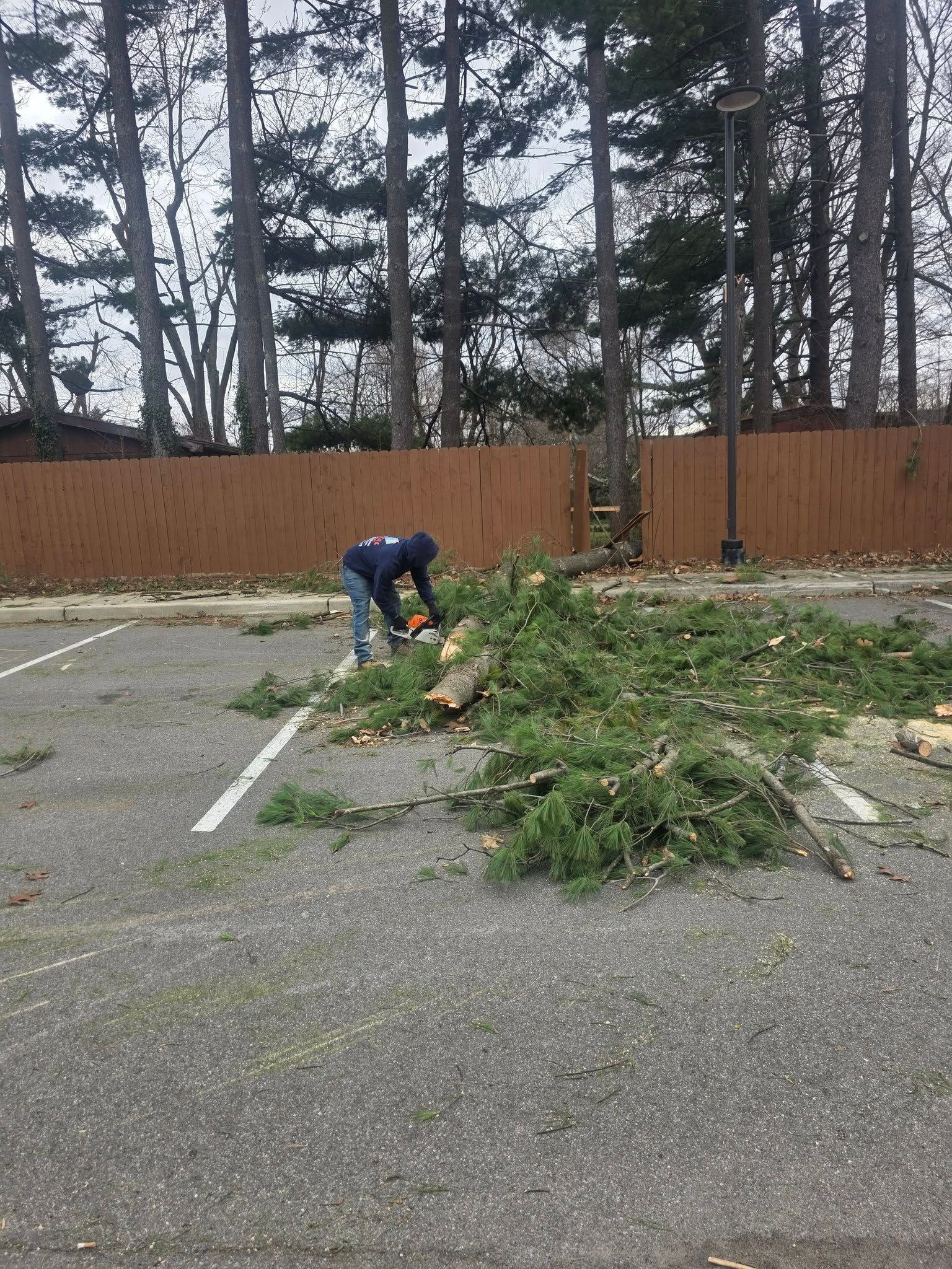 Worker clearing tree branches in a parking lot beside a wooden fence.