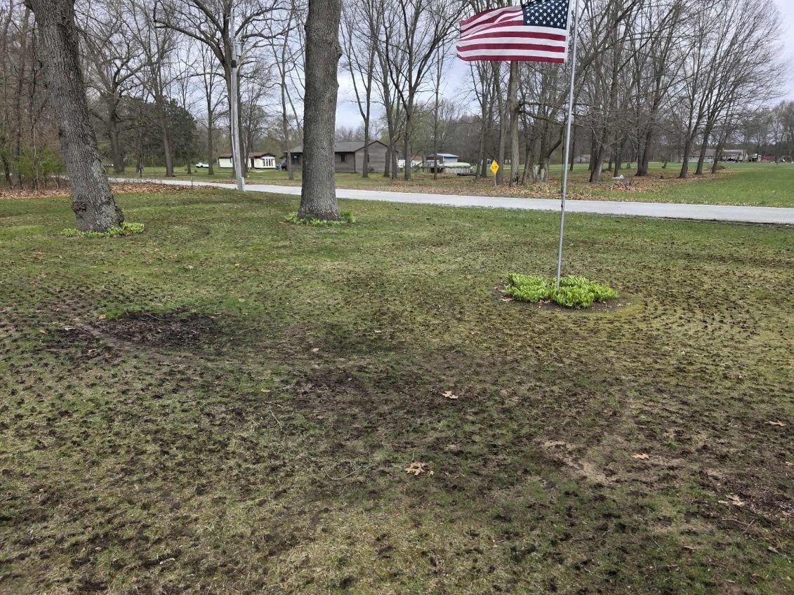 American flag on a pole in a grassy yard with leafless trees and a road in the background