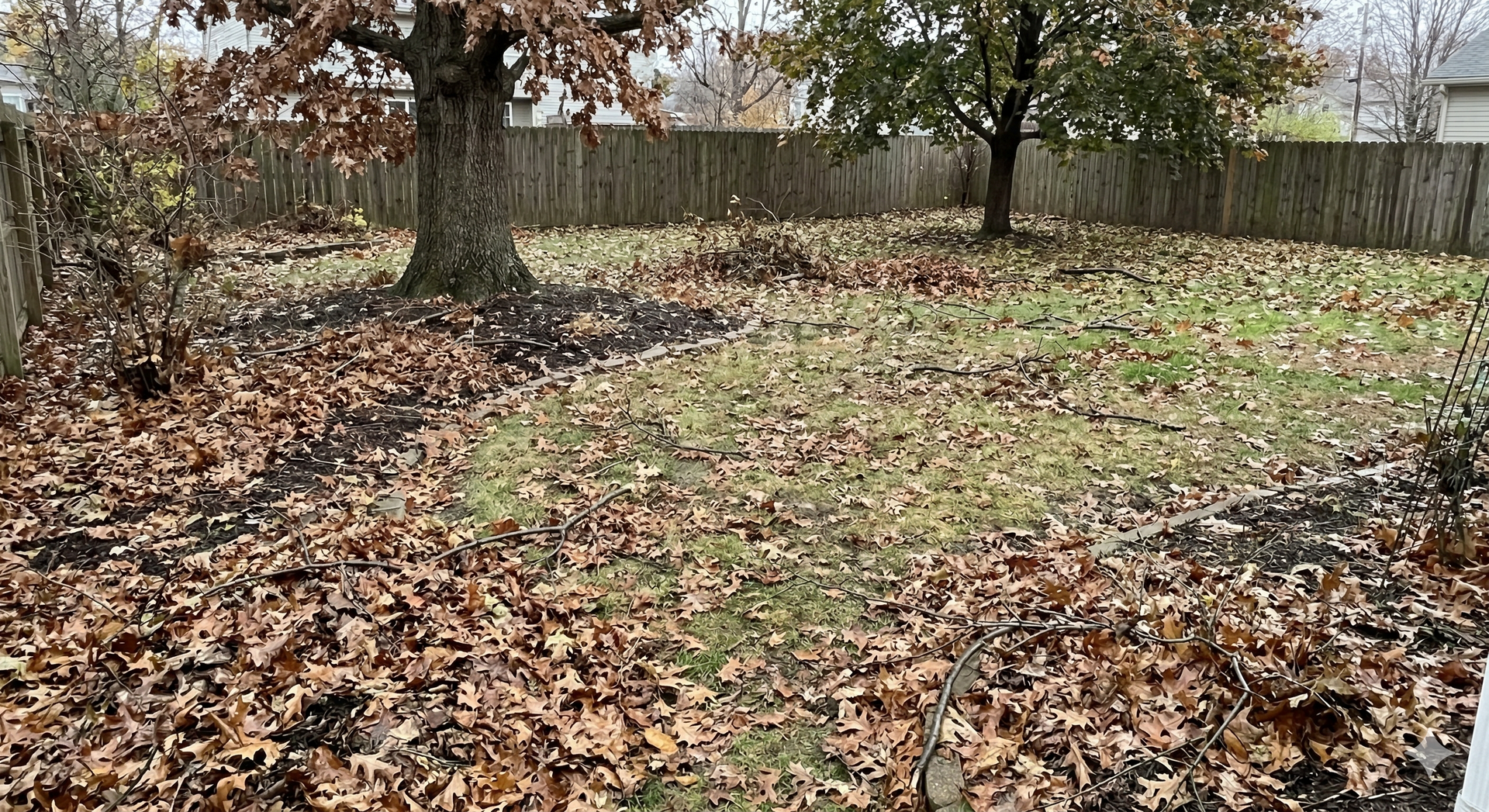 Leaf-covered backyard with a bare tree, patchy grass, and a wooden fence in autumn.