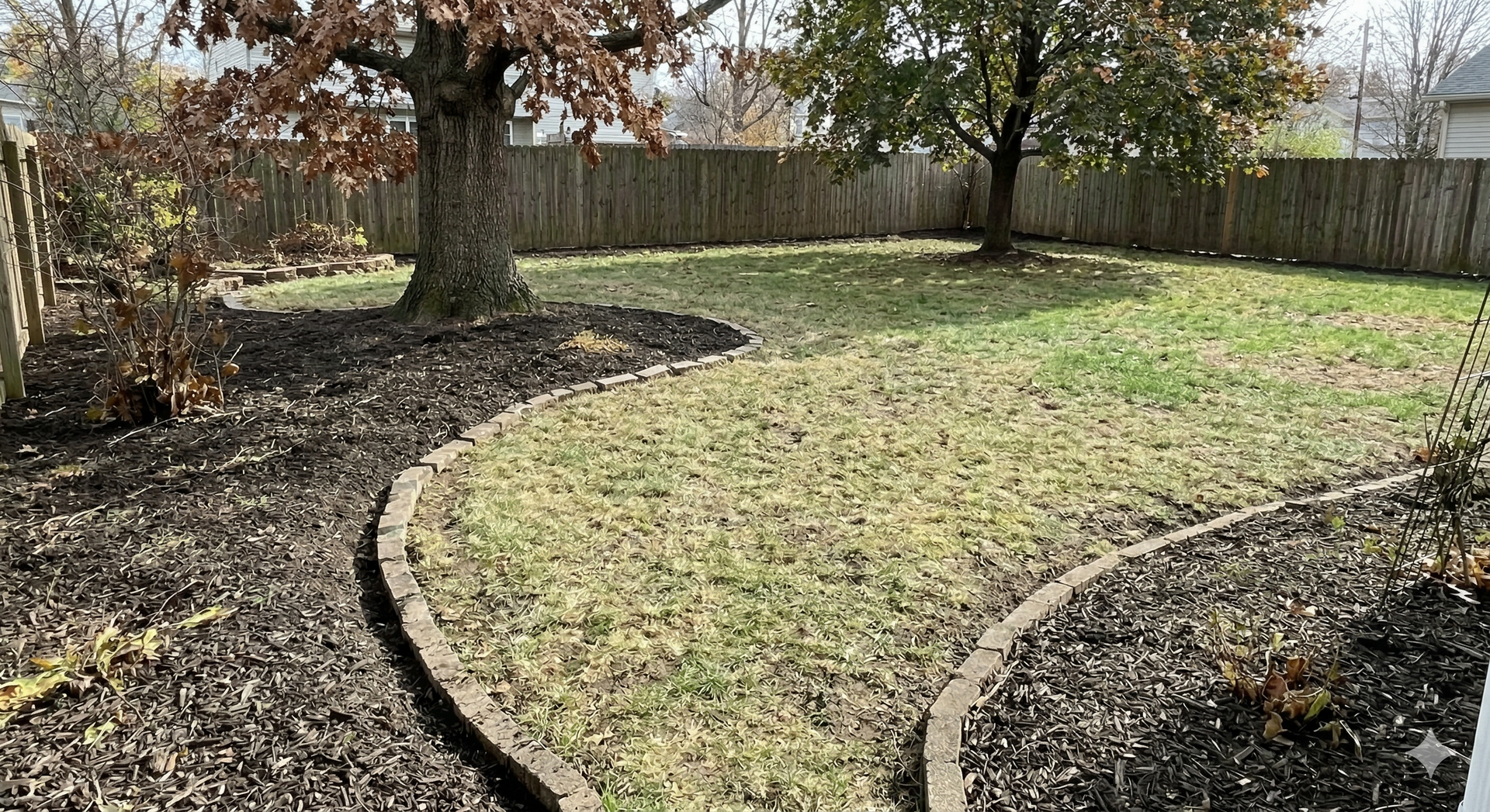 Curved concrete border around a patchy grass lawn with mulch beds and trees in a fenced backyard