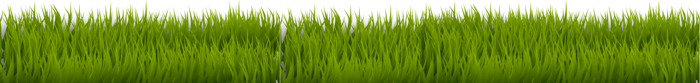 Green grass strip against a white background