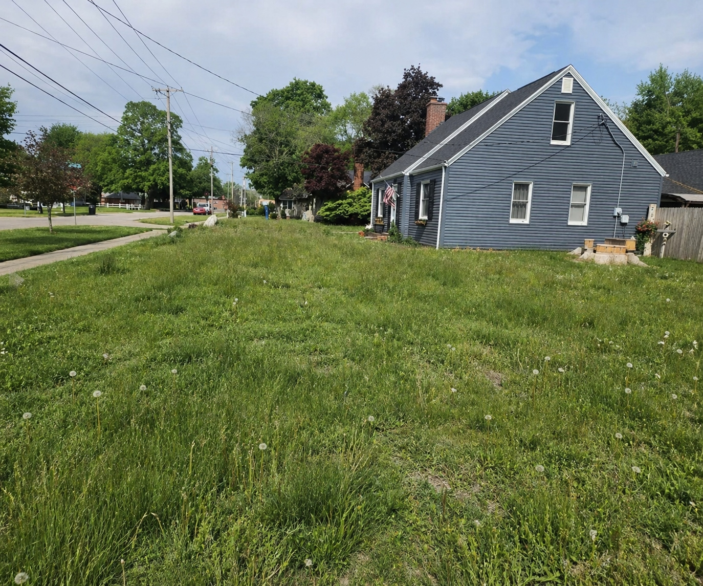 Grassy yard with large trees and a house with driveway on the right under a clear sky