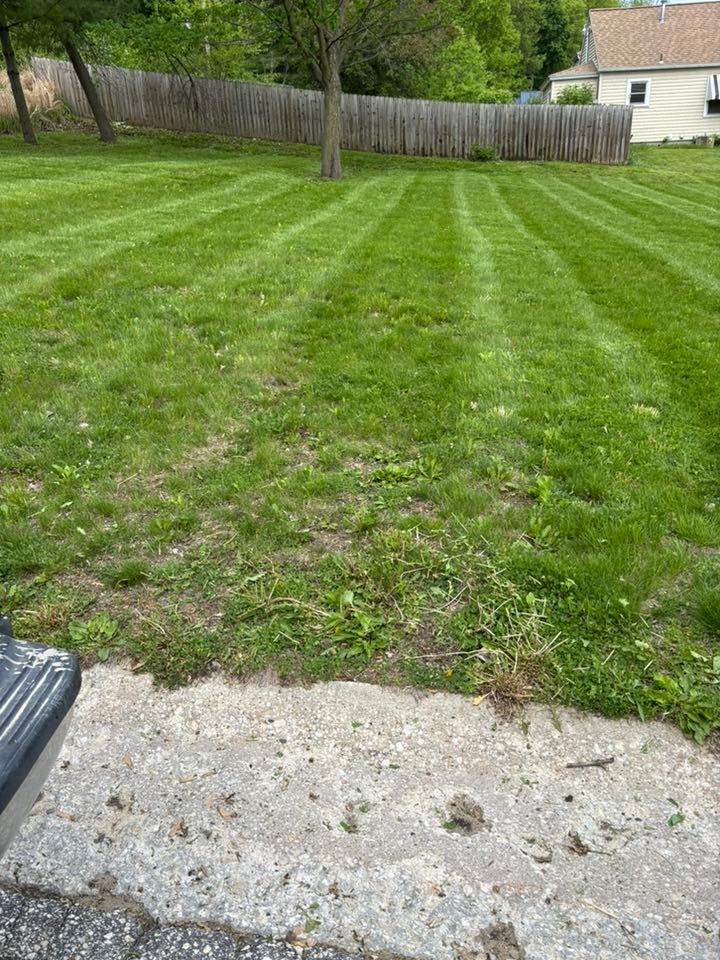 Freshly mowed green lawn with striped grass, a wooden fence, and a house in the background