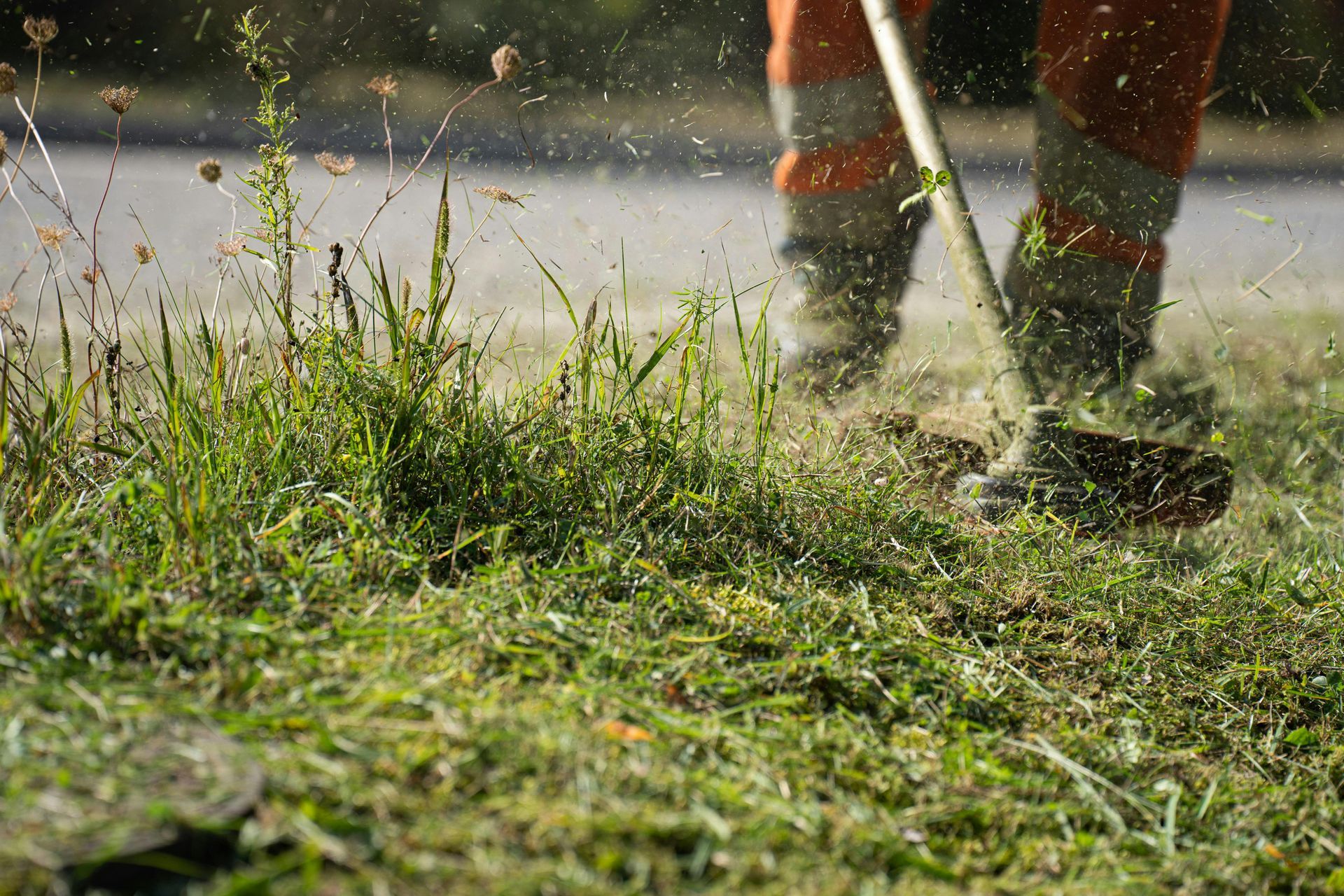 Legs and boots of a worker spraying water on grass near a roadside